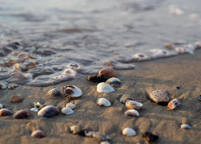 Cozy Retreat With Garden And Pool